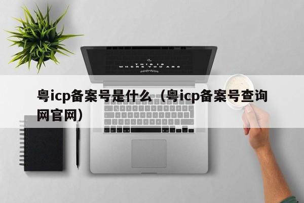 粤icp备案号是什么（粤icp备案号查询网官网）