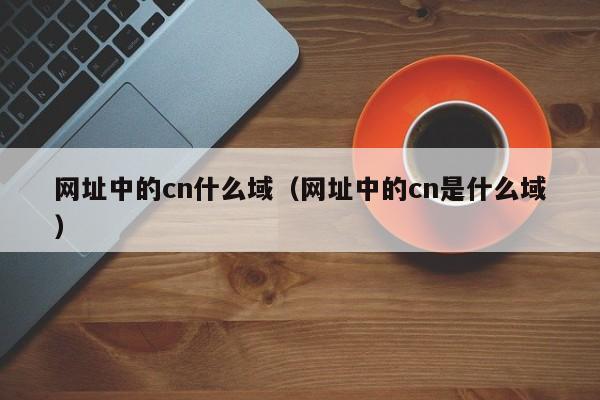 网址中的cn什么域（网址中的cn是什么域）