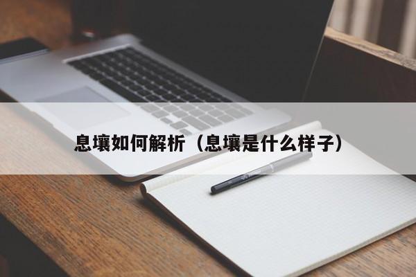息壤如何解析（息壤是什么样子）
