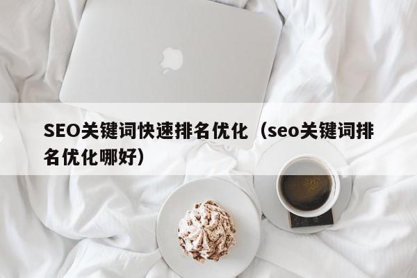 SEO关键词快速排名优化(seo关键词排名优化哪好) 1683631600 20230509112640 645a2df0704c5