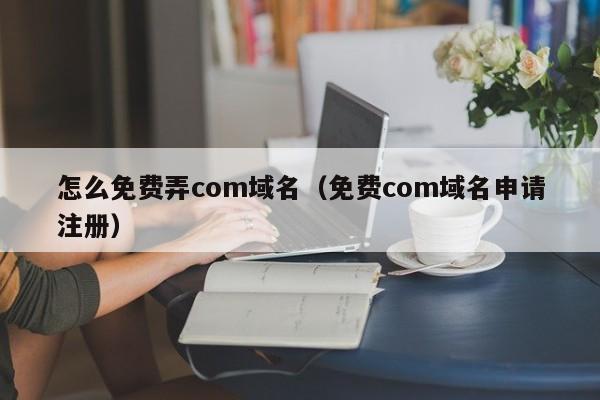 怎么免费弄com域名（免费com域名申请注册）